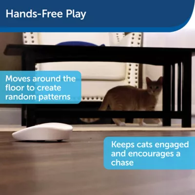 Product PetSafe® Automatic Laser Tail
