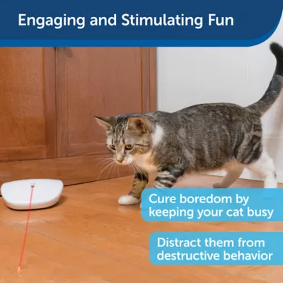 Product PetSafe® Automatic Laser Tail
