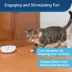 PetSafe® Automatic Laser Tail image thumbnail 5