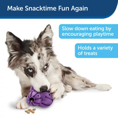 Product PetSafe®  Busy Buddy Barnacle Treat Dispensing Dog Toy