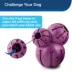 PetSafe®  Busy Buddy Barnacle Treat Dispensing Dog Toy image thumbnail 3