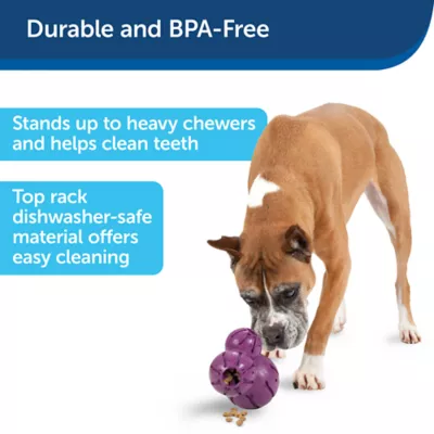 Product PetSafe®  Busy Buddy Barnacle Treat Dispensing Dog Toy