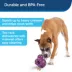 PetSafe®  Busy Buddy Barnacle Treat Dispensing Dog Toy image thumbnail 5