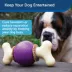 PetSafe® Busy Buddy® Bouncy Bone Treat Dispensing Dog Toy image thumbnail 2