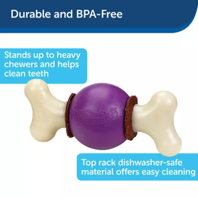 Product PetSafe® Busy Buddy® Bouncy Bone Treat Dispensing Dog Toy