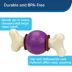 PetSafe® Busy Buddy® Bouncy Bone Treat Dispensing Dog Toy image thumbnail 3