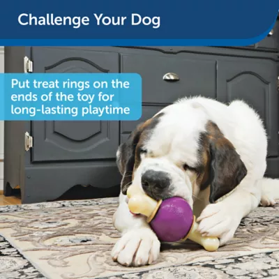 Product PetSafe® Busy Buddy® Bouncy Bone Treat Dispensing Dog Toy