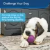 PetSafe® Busy Buddy® Bouncy Bone Treat Dispensing Dog Toy image thumbnail 4