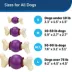 PetSafe® Busy Buddy® Bouncy Bone Treat Dispensing Dog Toy image thumbnail 5