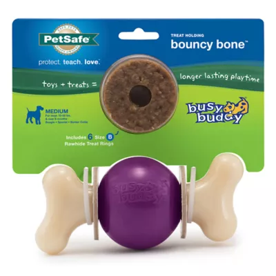 PetSafe® Busy Buddy® Bouncy Bone Treat Dispensing Dog Toy - Image 1