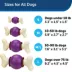 PetSafe® Busy Buddy® Bouncy Bone Treat Dispensing Dog Toy image thumbnail 5
