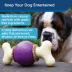 PetSafe® Busy Buddy® Bouncy Bone Treat Dispensing Dog Toy image thumbnail 2