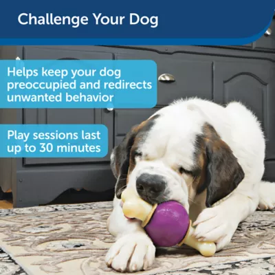 Product PetSafe® Busy Buddy® Bouncy Bone Treat Dispensing Dog Toy