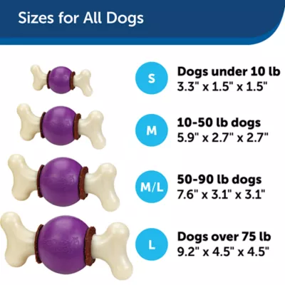 Product PetSafe® Busy Buddy® Bouncy Bone Treat Dispensing Dog Toy
