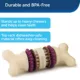 Product PetSafe® Busy Buddy® Bristle Bone Treat Dispensing Dog Toy