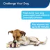 PetSafe® Busy Buddy® Bristle Bone Treat Dispensing Dog Toy image thumbnail 4