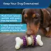 PetSafe® Busy Buddy® Bristle Bone Treat Dispensing Dog Toy image thumbnail 2