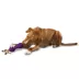 PetSafe® Busy Buddy® Chuckle Treat Dispensing Dog Toy image thumbnail 1