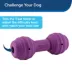 PetSafe® Busy Buddy® Chuckle Treat Dispensing Dog Toy image thumbnail 3