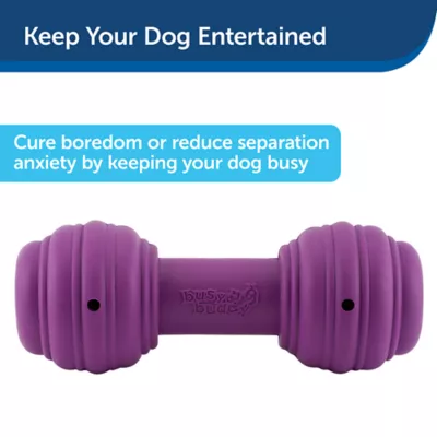 Product PetSafe® Busy Buddy® Chuckle Treat Dispensing Dog Toy
