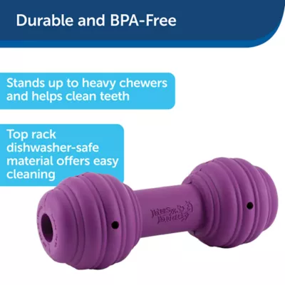 Product PetSafe® Busy Buddy® Chuckle Treat Dispensing Dog Toy