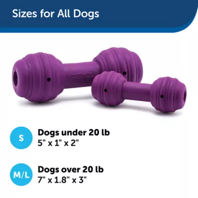 Product PetSafe® Busy Buddy® Chuckle Treat Dispensing Dog Toy