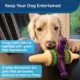Product PetSafe® Busy Buddy® Jack Treat Dispensing Dog Toy