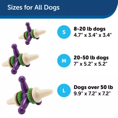 Product PetSafe® Busy Buddy® Jack Treat Dispensing Dog Toy