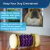 PetSafe® Busy Buddy® Nobbly Nubbly Treat Dispensing Dog Toy image thumbnail 2