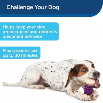 Product PetSafe® Busy Buddy® Nobbly Nubbly Treat Dispensing Dog Toy