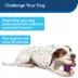 PetSafe® Busy Buddy® Nobbly Nubbly Treat Dispensing Dog Toy image thumbnail 4