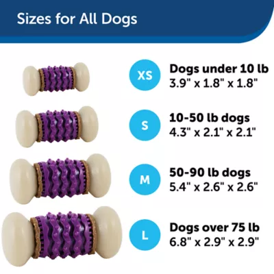 Product PetSafe® Busy Buddy® Nobbly Nubbly Treat Dispensing Dog Toy
