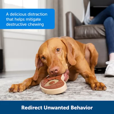 Product PetSafe® Busy Buddy® Rawhide Rings Dog Treat