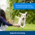 PetSafe® Busy Buddy® Rawhide Treat Ring Refills, Natural, 16 Count image thumbnail 5