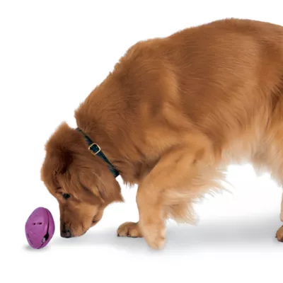 PetSafe® Twist N Treat Dog Toy - Image 1