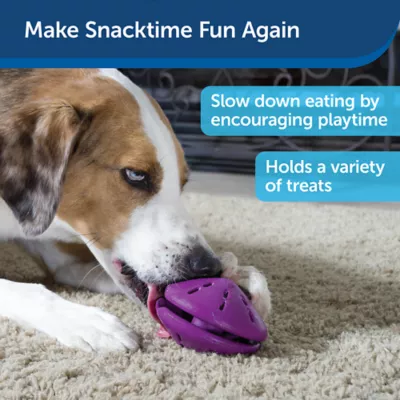 PetSafe® Twist N Treat Dog Toy - Image 2