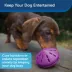 PetSafe® Twist N Treat Dog Toy image thumbnail 4