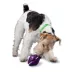 PetSafe® Twist N Treat Dog Toy image thumbnail 1