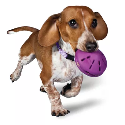 Product PetSafe® Twist N Treat Dog Toy
