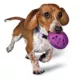 Product PetSafe® Twist N Treat Dog Toy