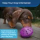Product PetSafe® Twist N Treat Dog Toy