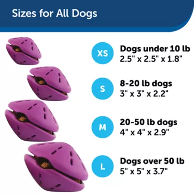 Product PetSafe® Twist N Treat Dog Toy