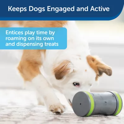 Product PetSafe® Kibble Chase Dropper Dog Toy