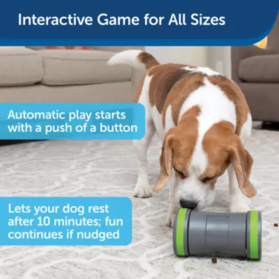 Product PetSafe® Kibble Chase Dropper Dog Toy
