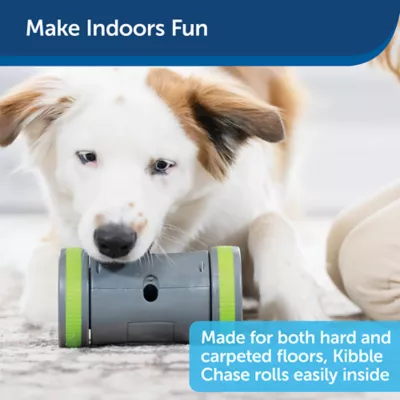 Product PetSafe® Kibble Chase Dropper Dog Toy