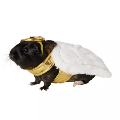 Product Thrills & Chills® Angel Small Pet Costume