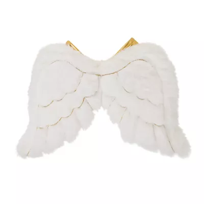 Product Thrills & Chills® Angel Small Pet Costume