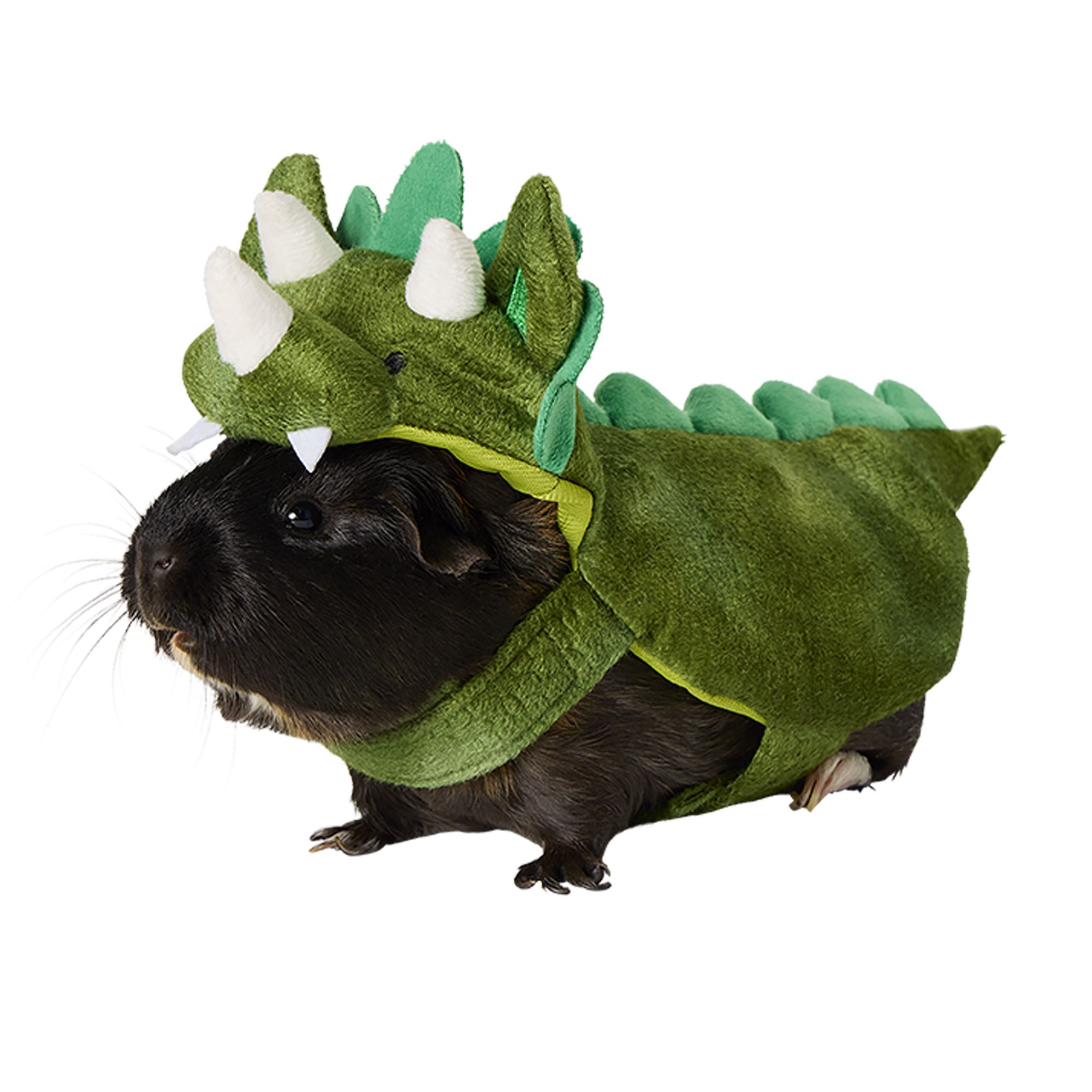 Thrills & Chills® Dinosaur Small Pet Costume