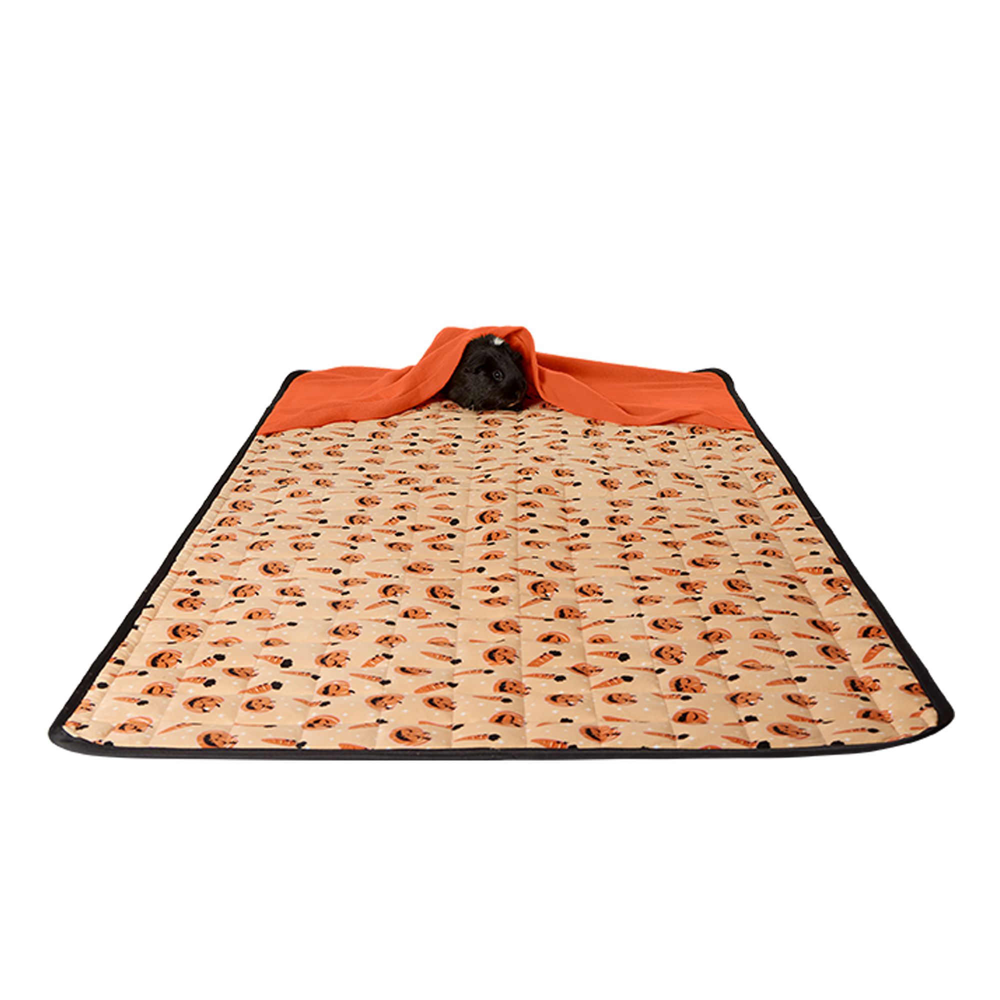Thrills & Chills® Pumpkin Small Pet Habitat Liner