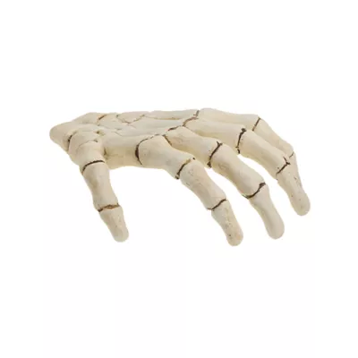 Product Thrills & Chills® Skeleton Hand Reptile Terrarium Décor